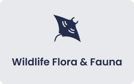 Frame 34847